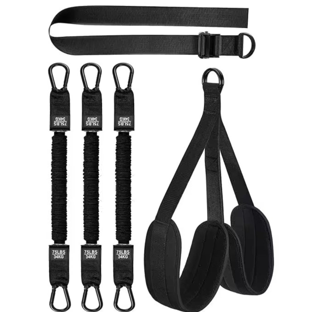East Coast Utility Co. Heavy-Duty Pull-Up Assist & Resistance System
