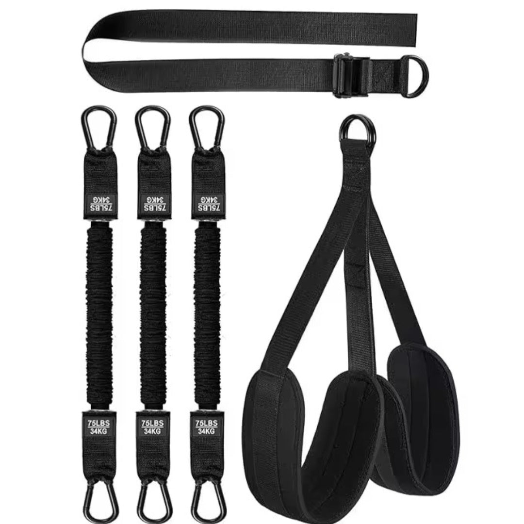 East Coast Utility Co. Heavy-Duty Pull-Up Assist & Resistance System