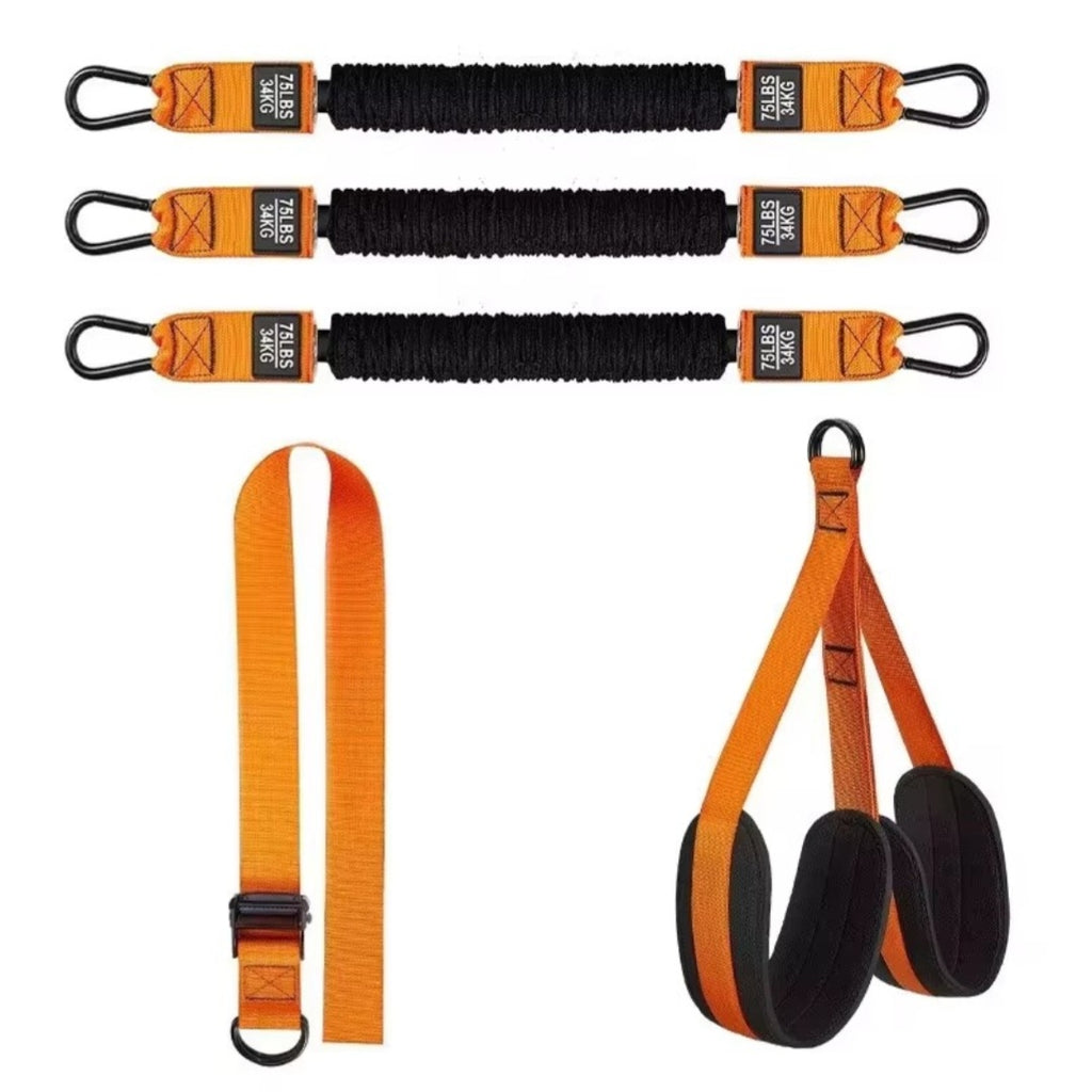 East Coast Utility Co. Heavy-Duty Pull-Up Assist & Resistance System