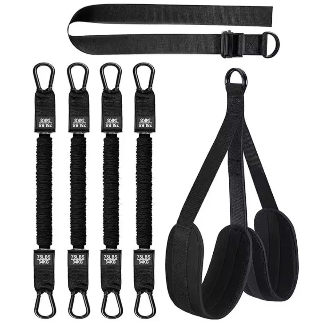 East Coast Utility Co. Heavy-Duty Pull-Up Assist & Resistance System