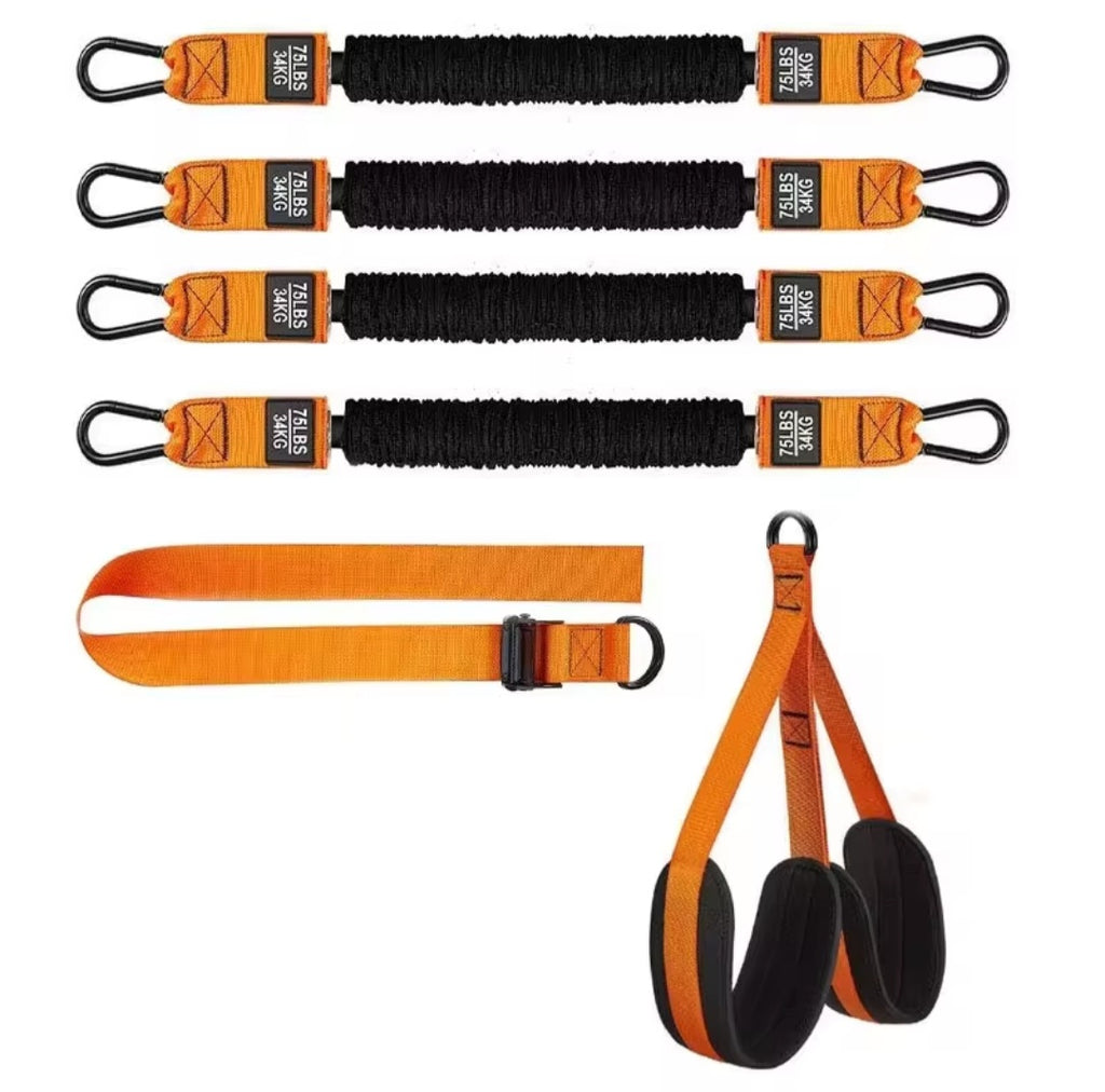 East Coast Utility Co. Heavy-Duty Pull-Up Assist & Resistance System