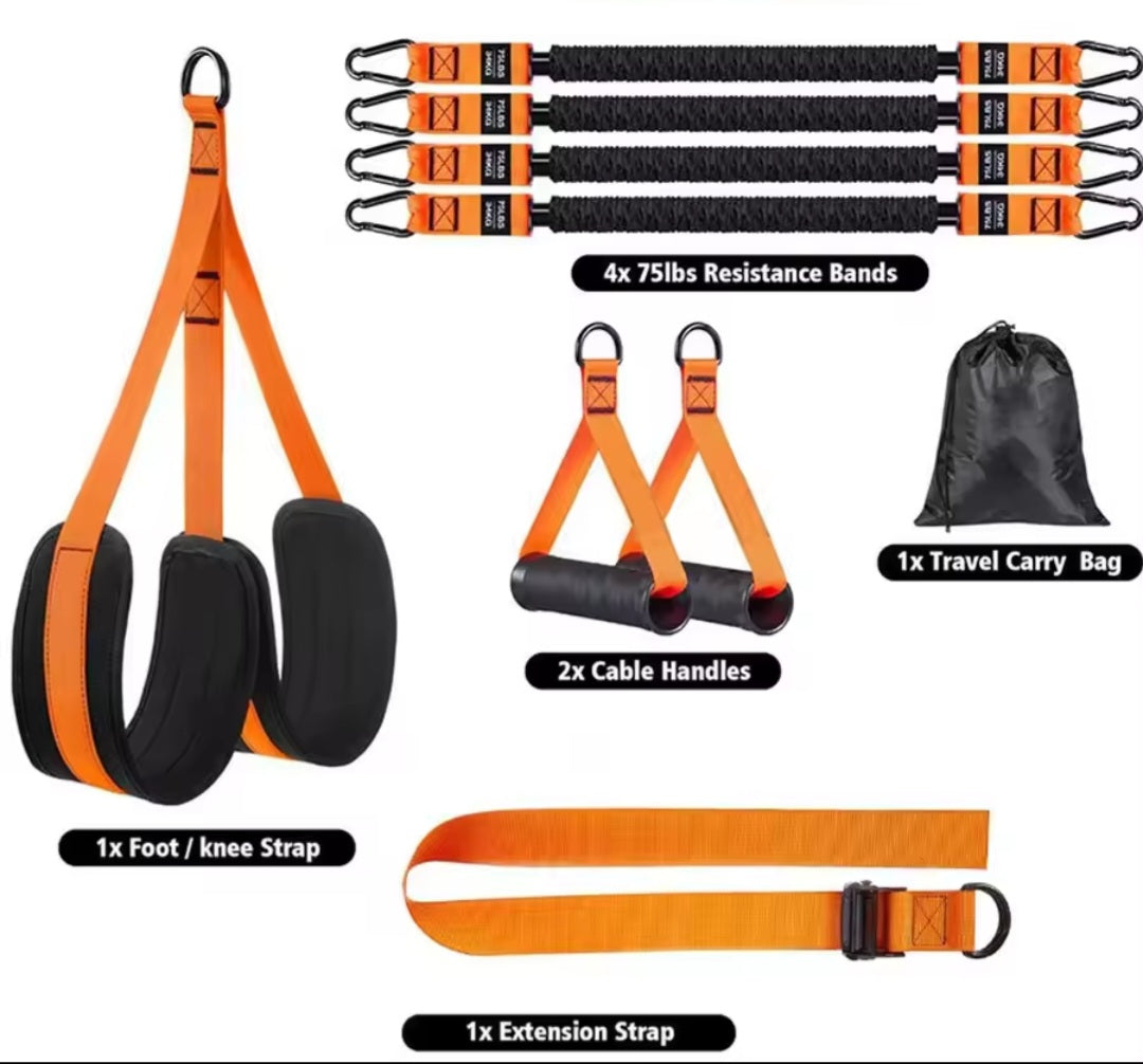East Coast Utility Co. Heavy-Duty Pull-Up Assist & Resistance System